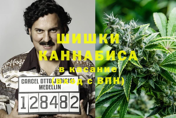шишки Алзамай