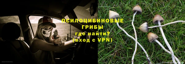 бошки Алексеевка